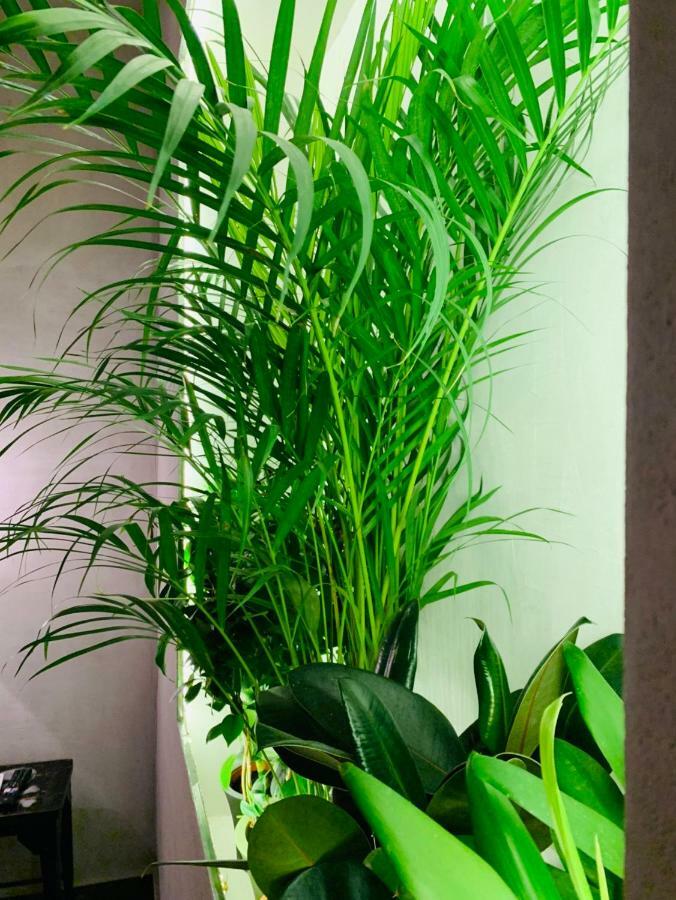 Jolene Apartment Thessaloníki Ngoại thất bức ảnh
